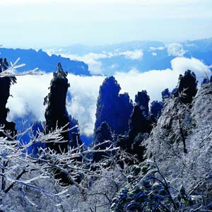 LD線：張家界、天子山、楊家界、猛洞河漂流純玩四日游