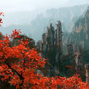 休閑自駕E線：張家界、袁家界、天子山、寶峰湖、鳳凰古城、沱江泛舟四晚五日游