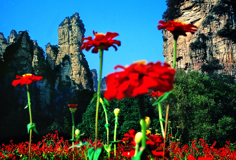 LF線：張家界國(guó)家森林公園、猛洞河漂流、鳳凰古城純玩自助五日游